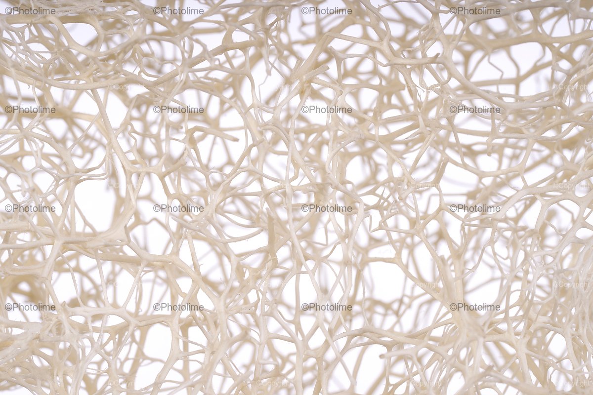 Luffa sponge close up isolated texture with selective focus. example image 1