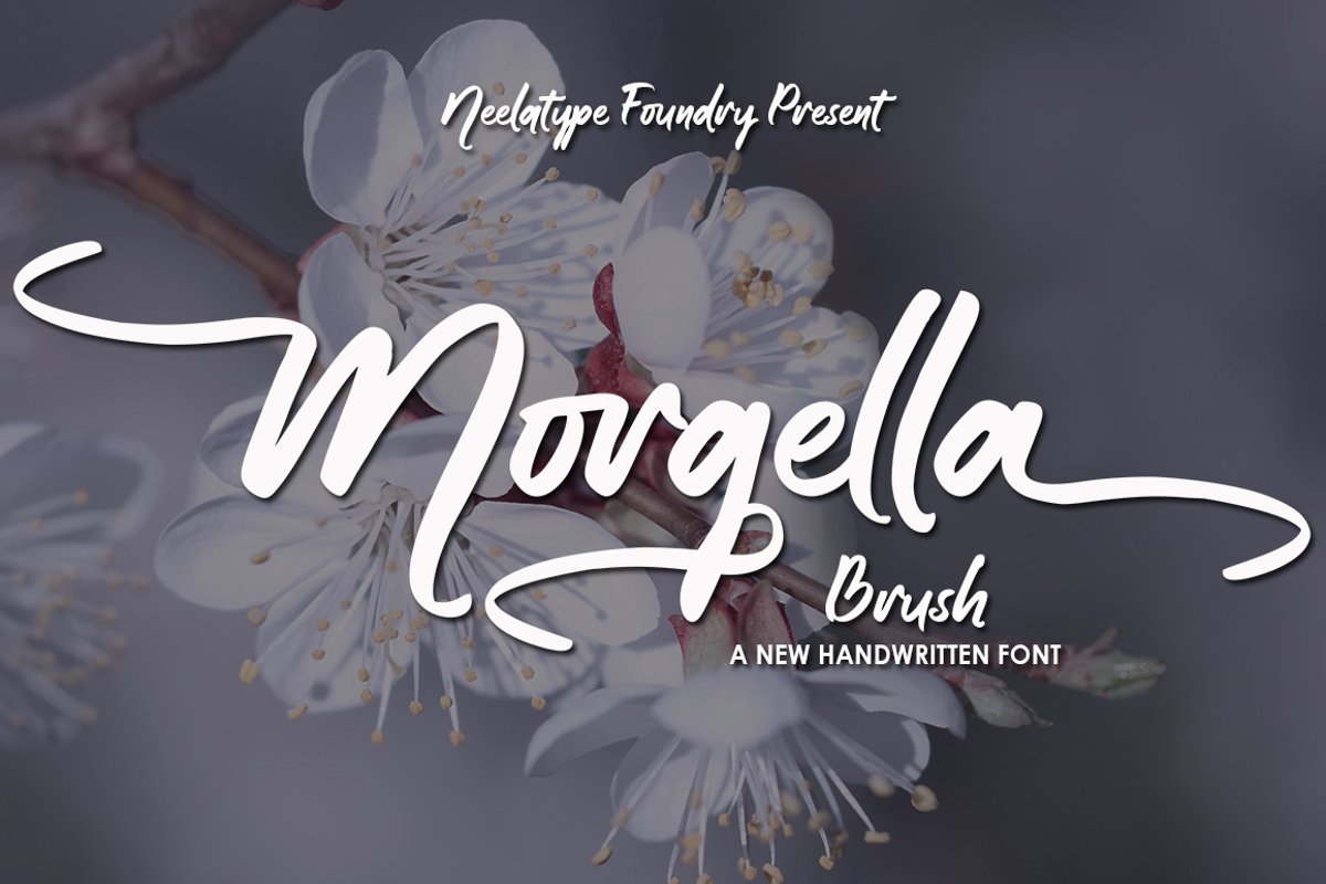 Morgella Brush example image 1