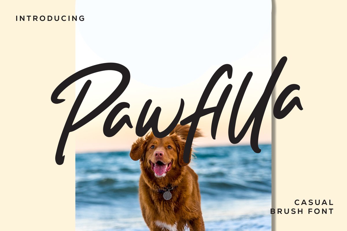 Pawfilla - Brush Font example image 1