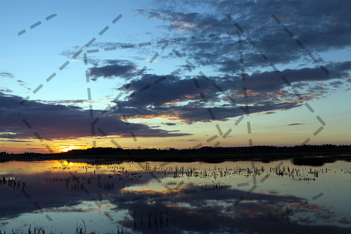 multicolored sky example image 1