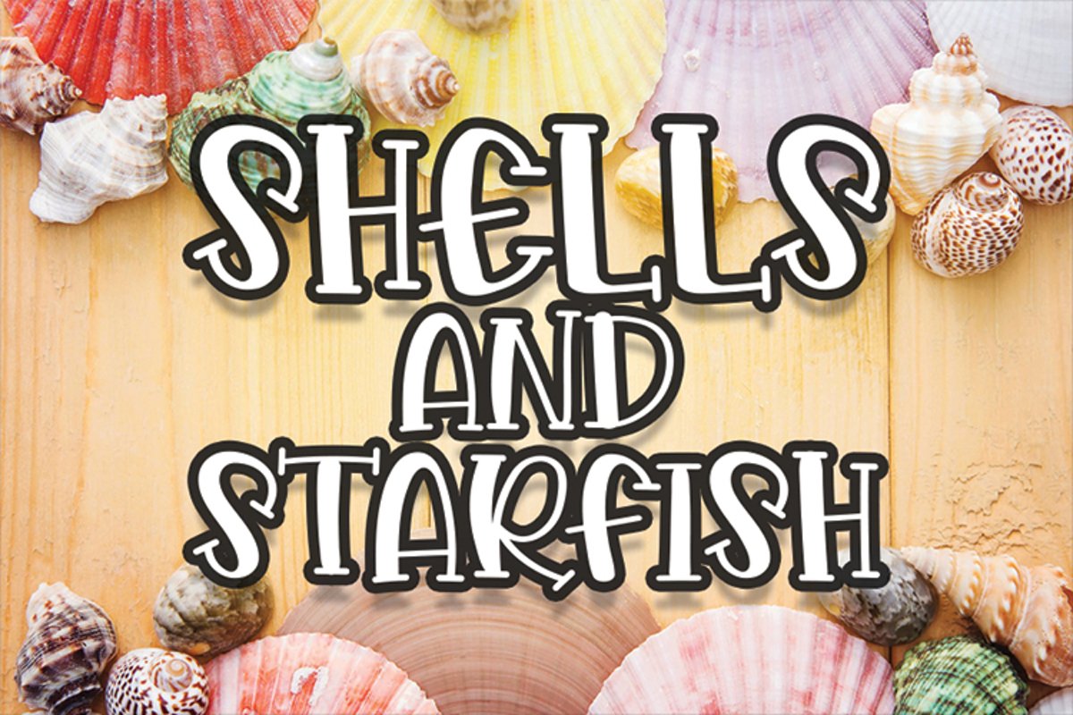 Shells And Starfish example image 1