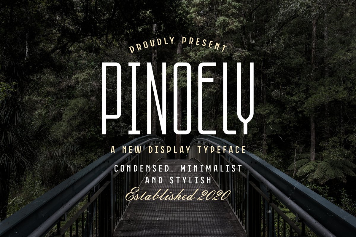 Pionely example image 1