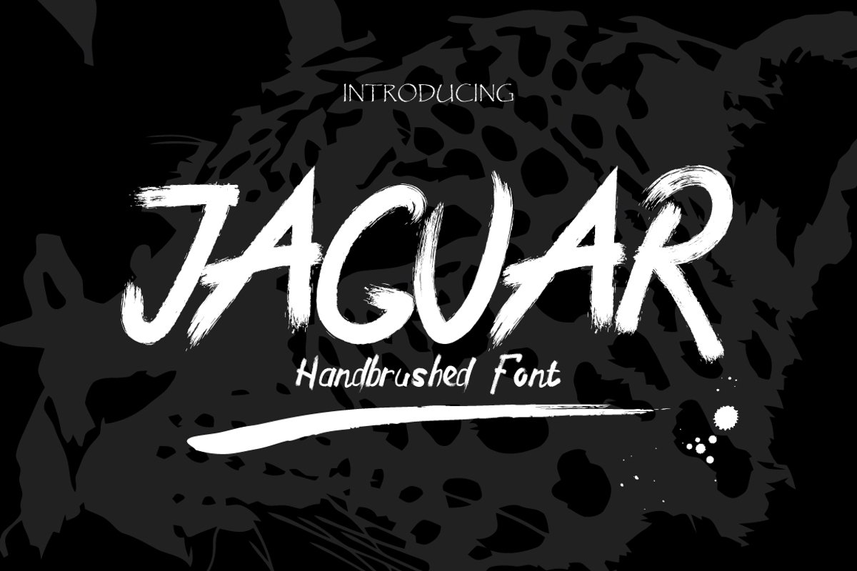 Jaguar Typeface + Swashes example image 1