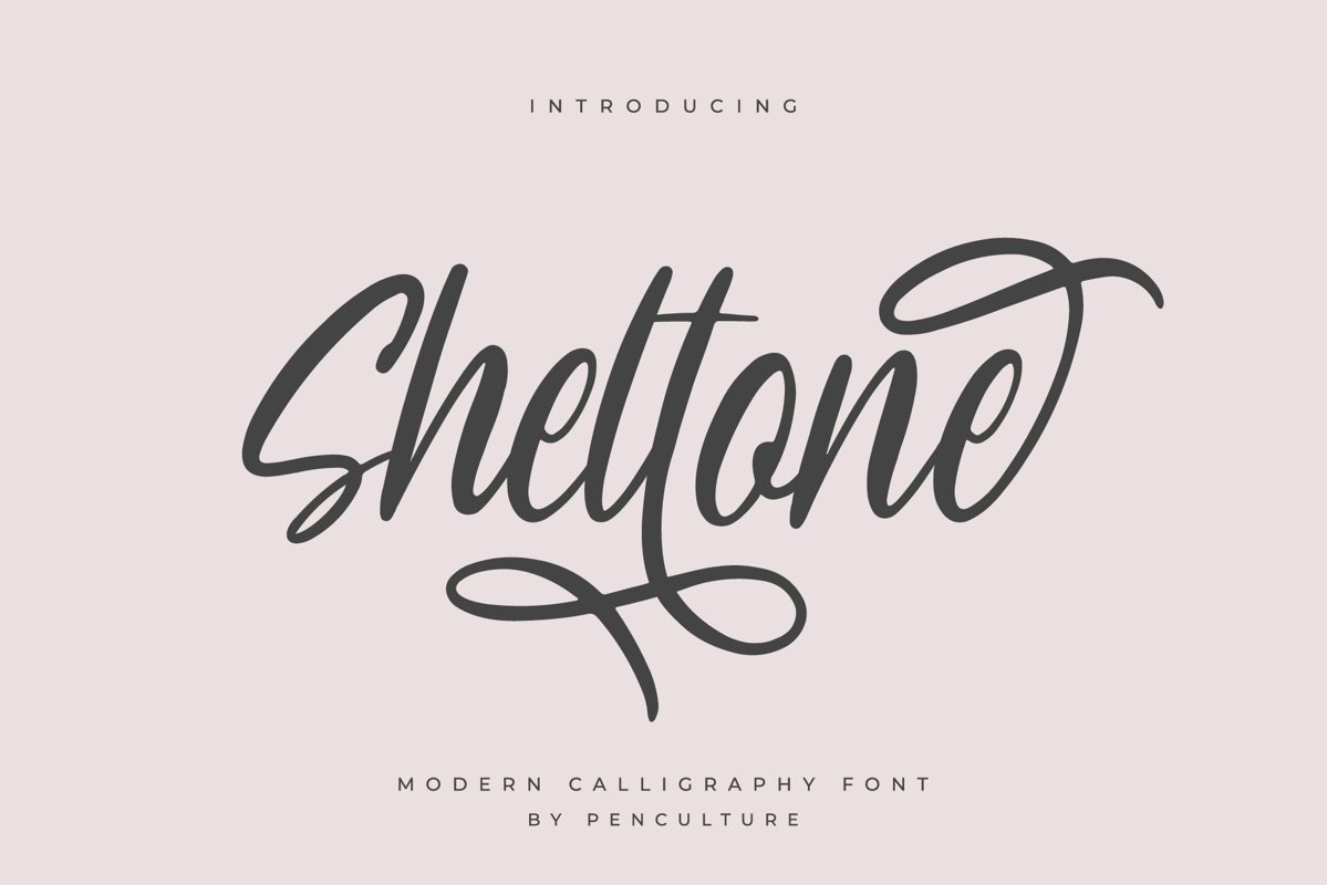 Sheltone - Modern Calligraphy Font example image 1