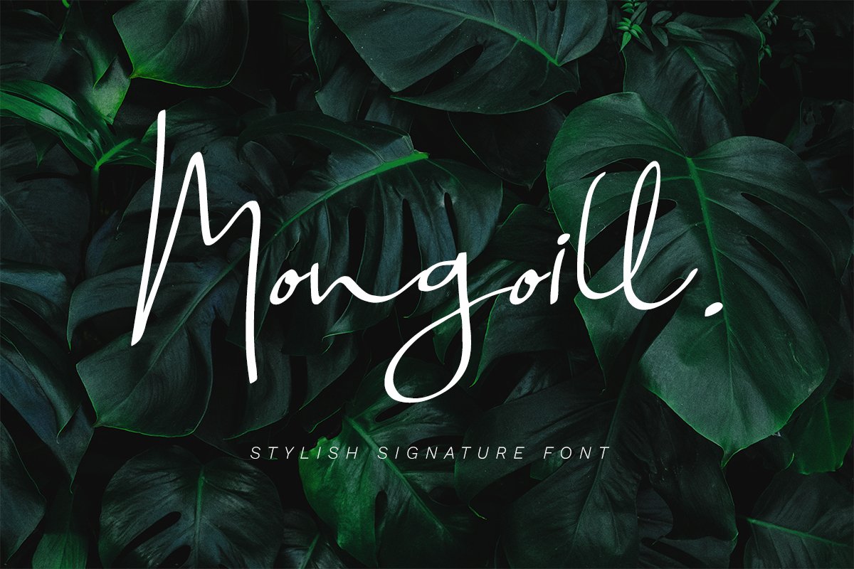 Mongoill - Stylish Signature Font example image 1