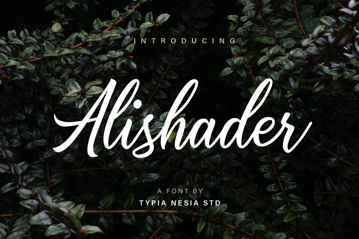 Alishader example image 1