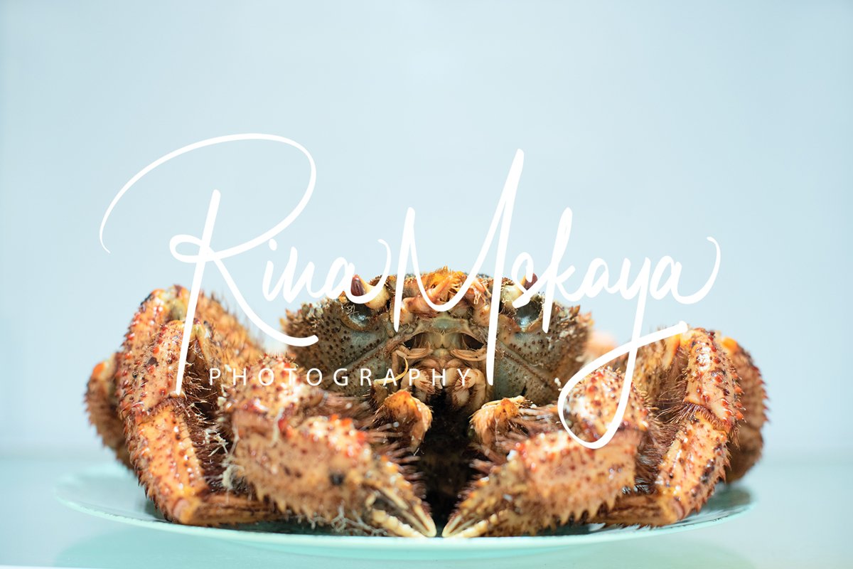 Delicious steamed crab lies on a blue plate example image 1