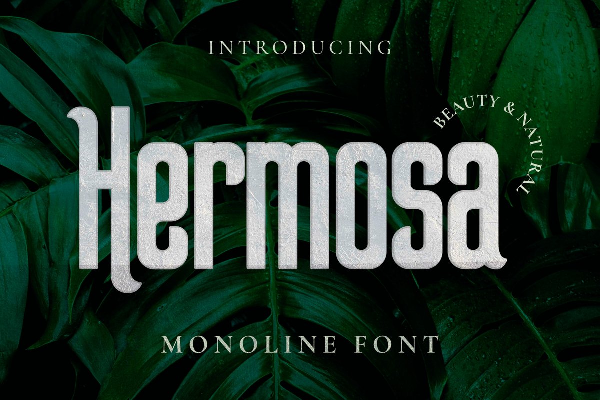 Hermosa Font example image 1