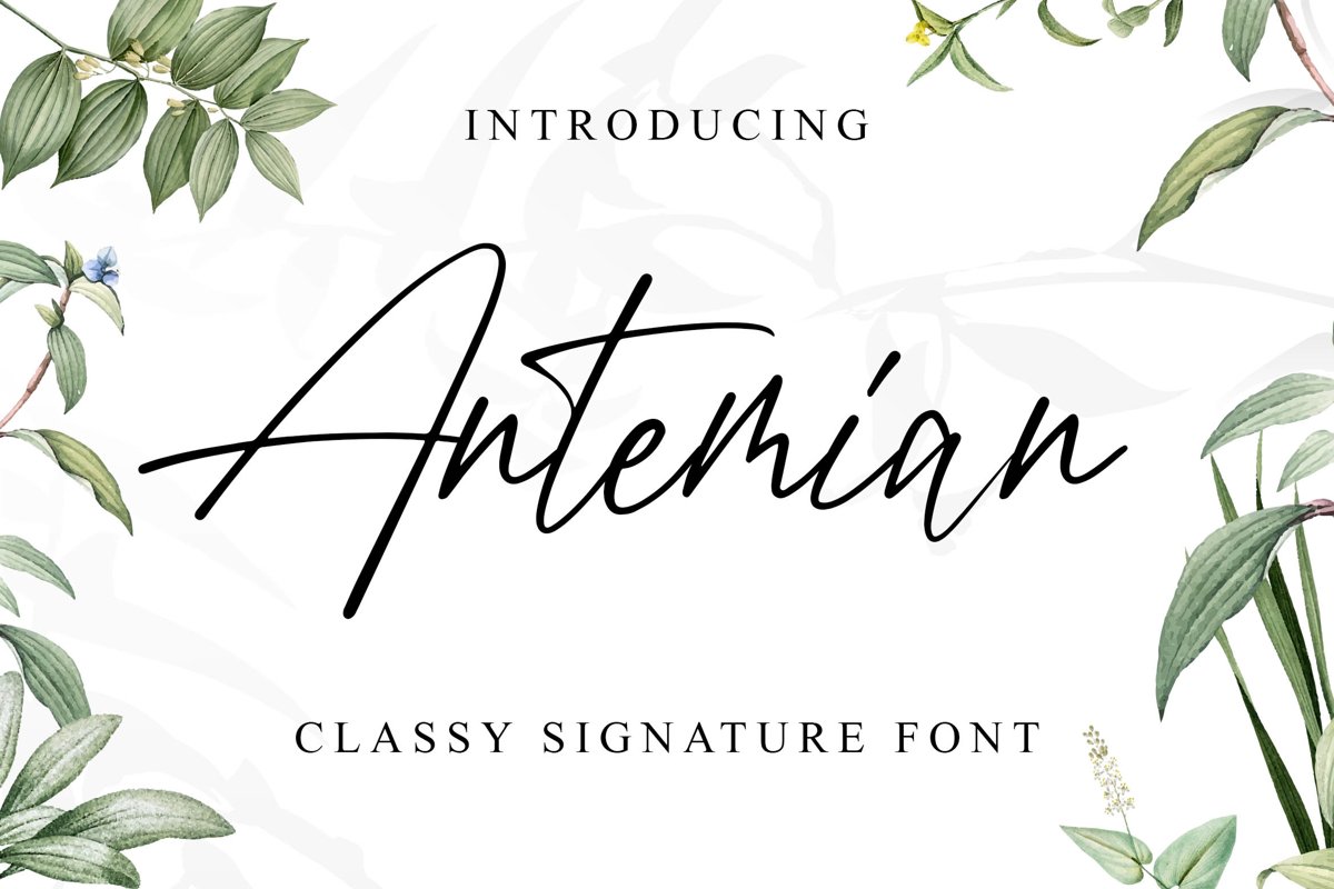 Antemian Classy Signature Font example image 1