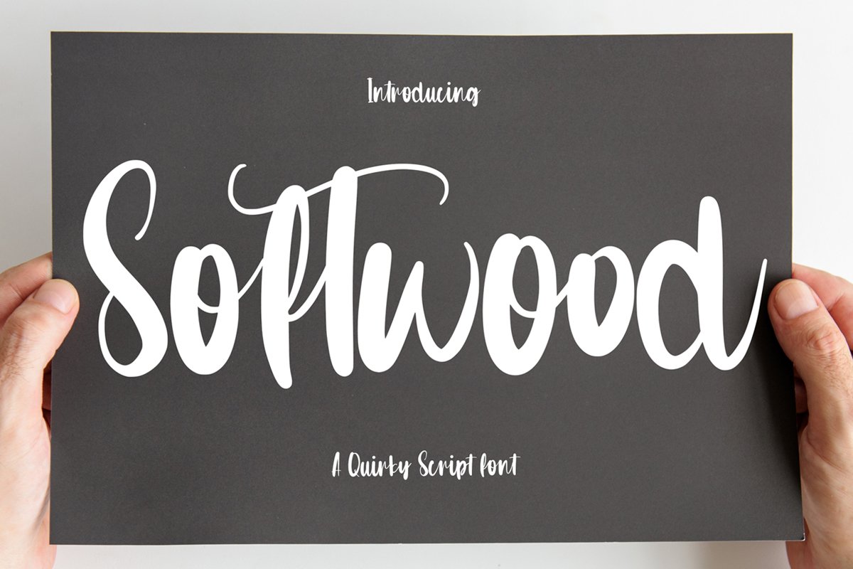 Softwood - Quirty Script Font example image 1