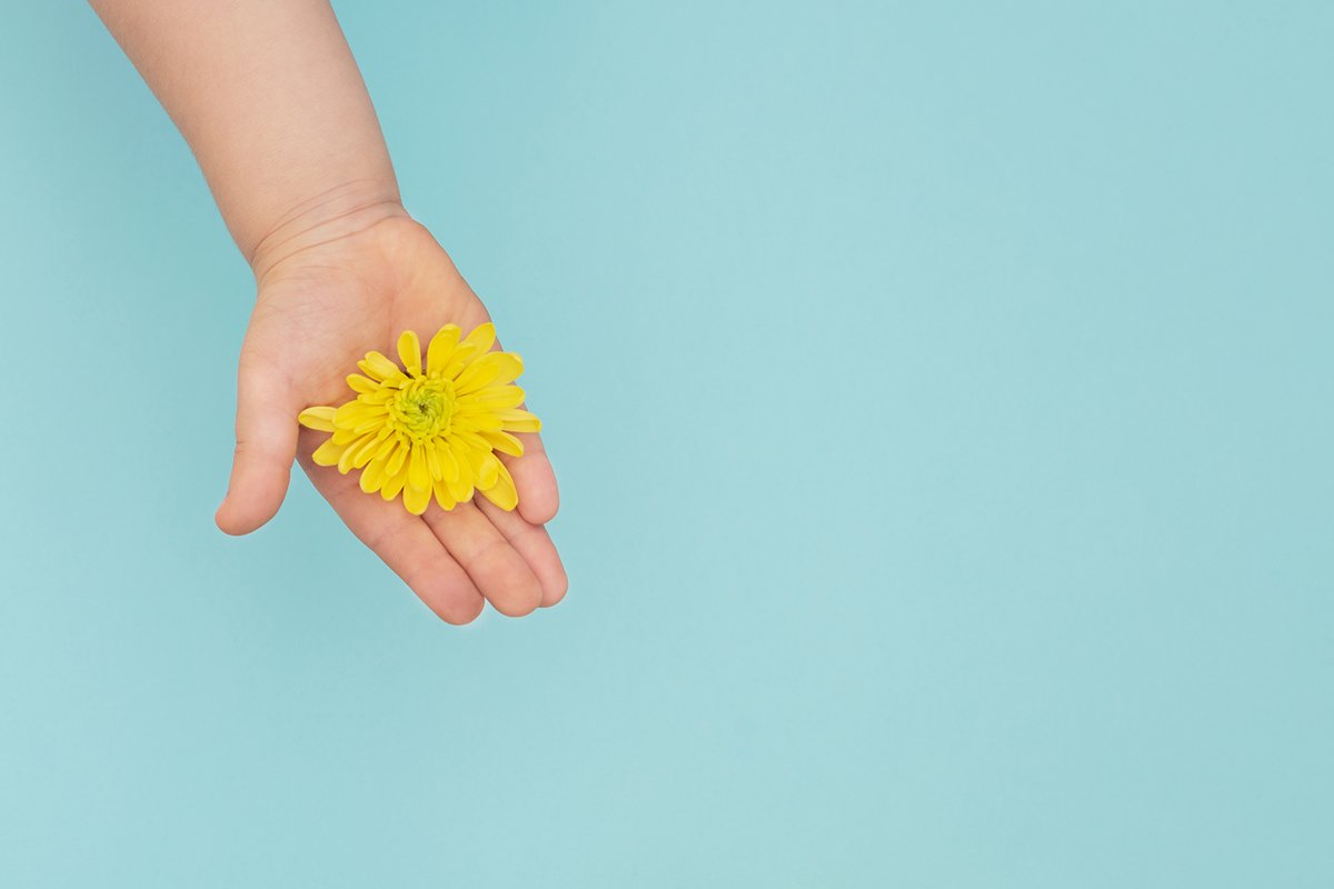 The yellow flower in childs hands on blue background. example image 1