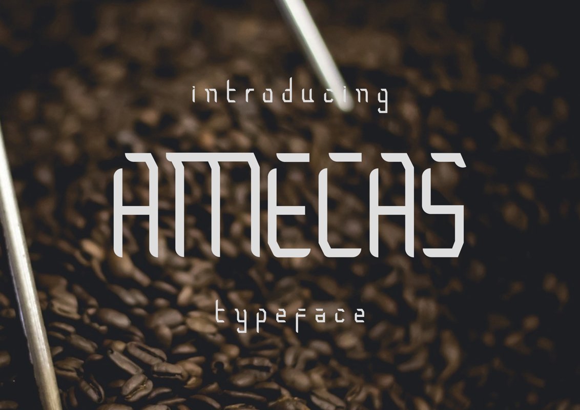 Amecas example image 1