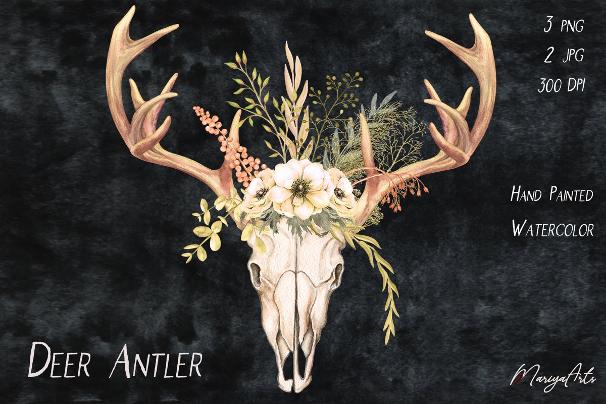 Deer Antlers and Skull, Field Flowers, Watercolor Clipart example image 1