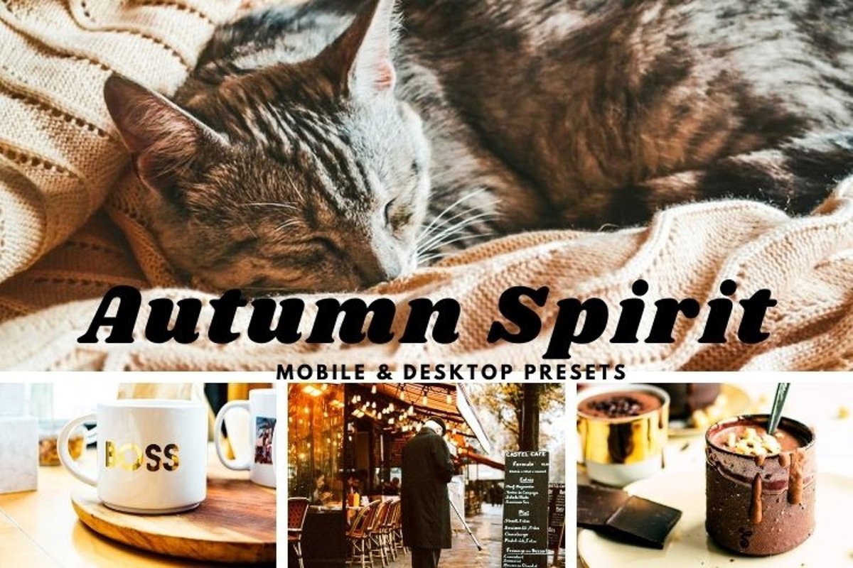 Autumn Spirit Mobile & Desktop Lightroom Presets example image 1