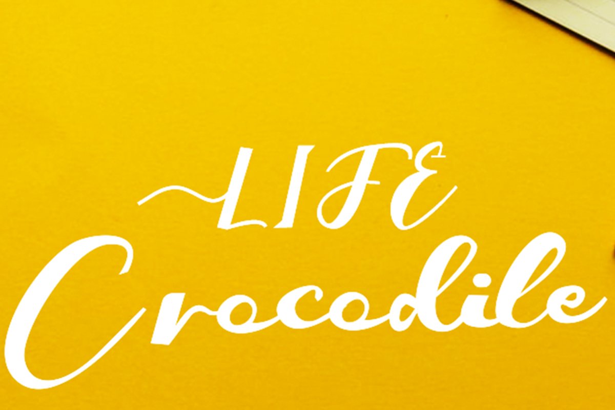 Crocodile example image 1