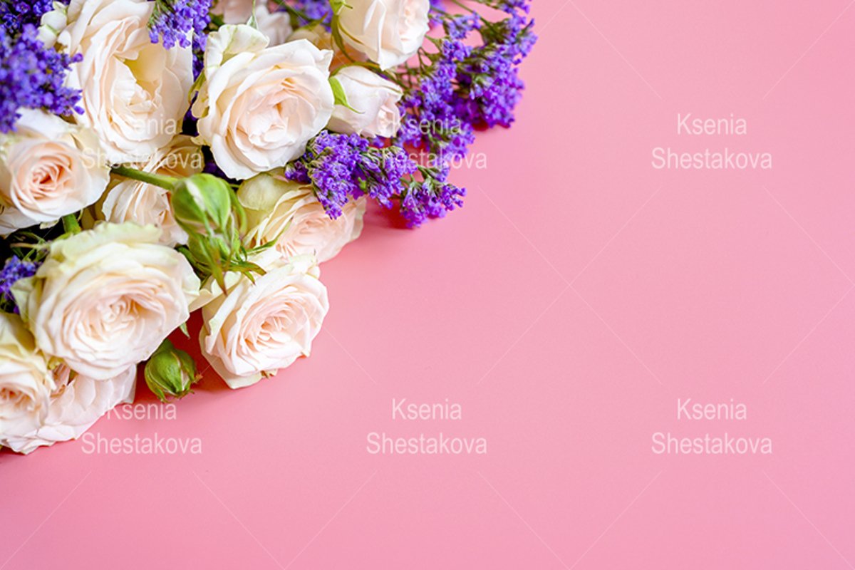 roses and purple flowers in full bloom on a pink background example image 1