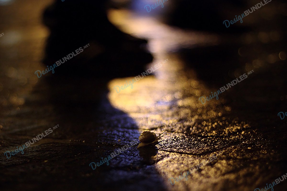 Stock Photo - Shadow example image 1