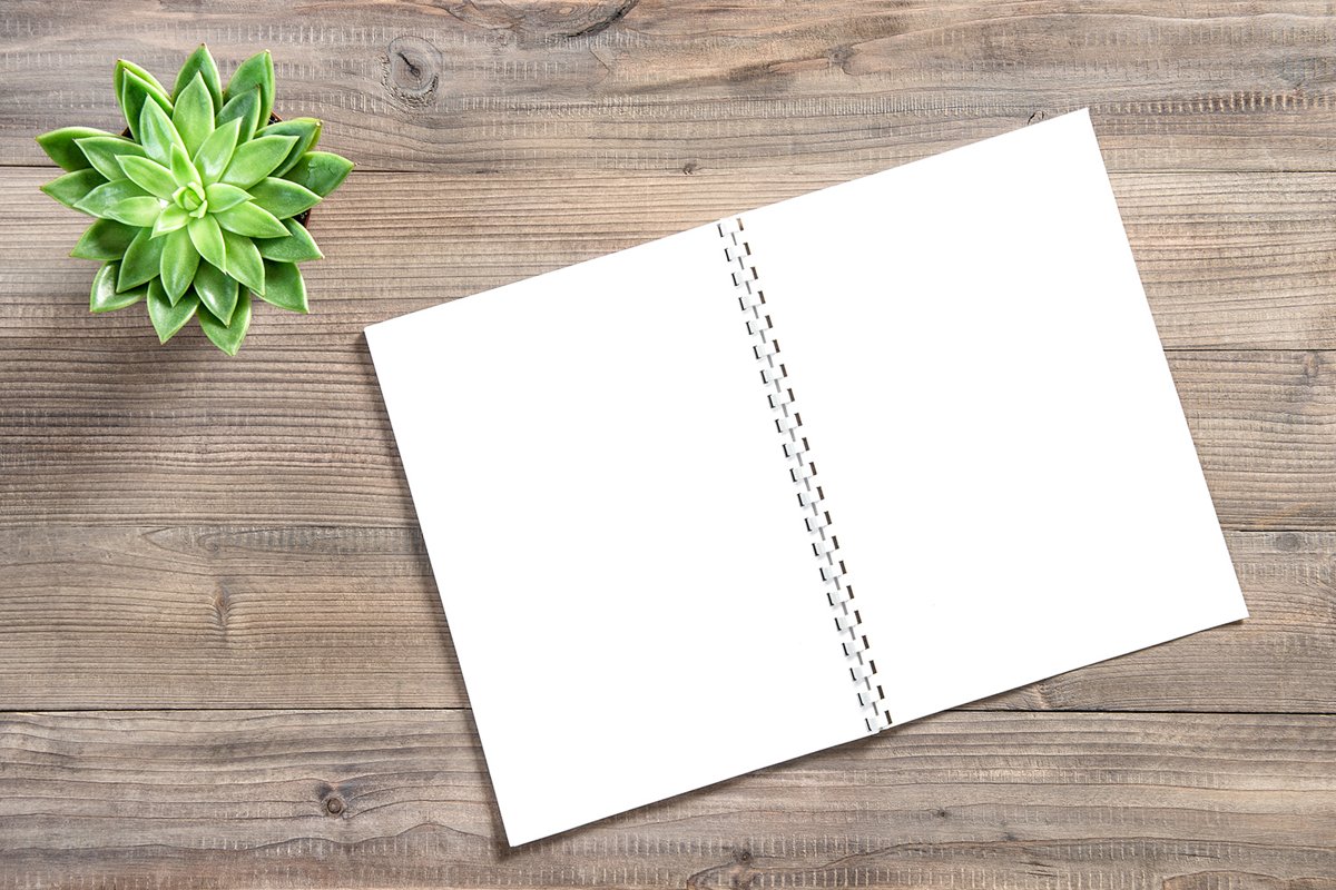 Office workplace flat lay. Open paper book and succulent JPG example image 1