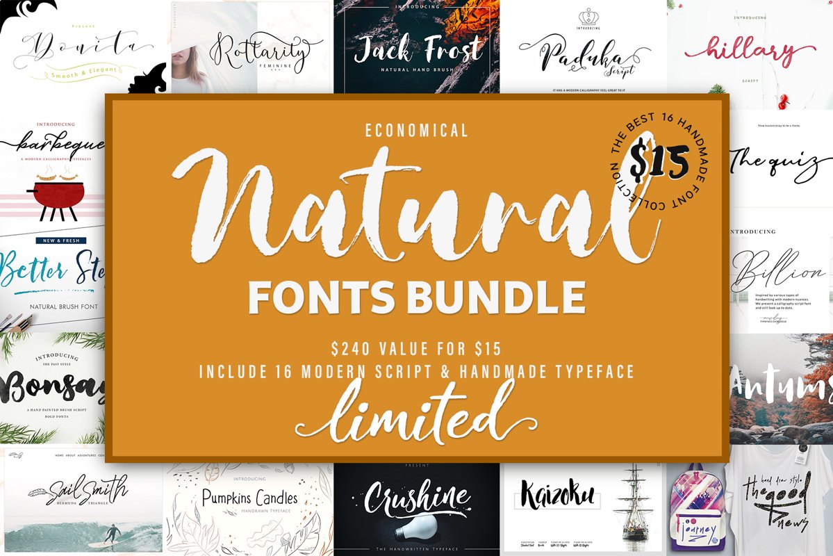 Natural & Script Fonts Bundles Vol. 01 example image 1