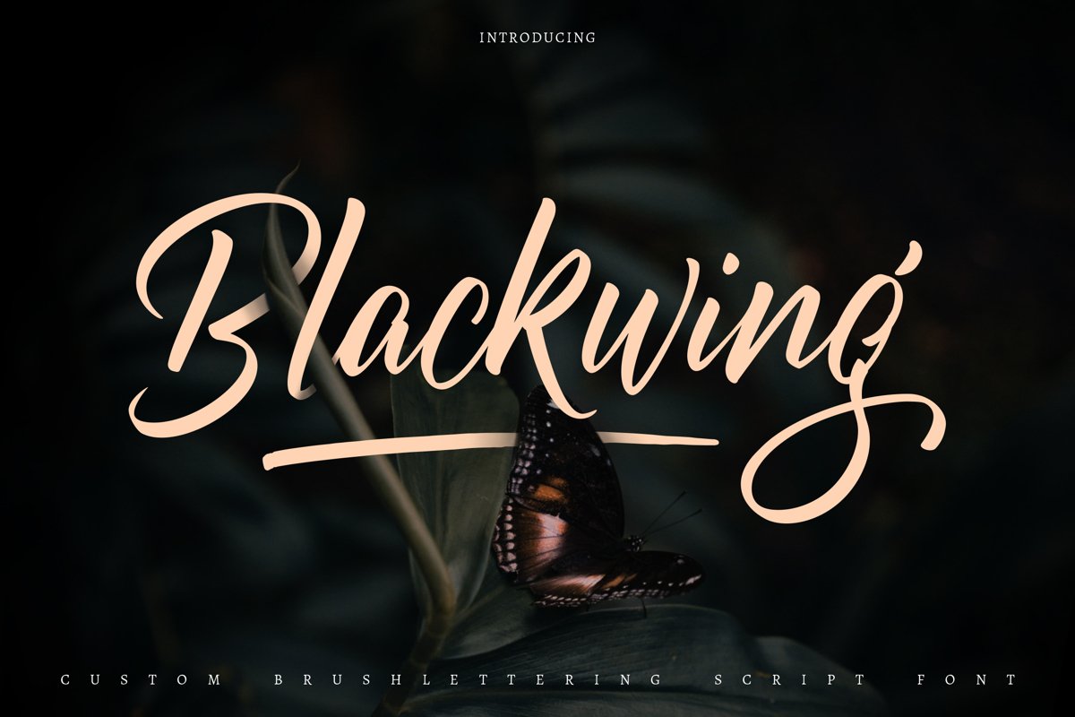 Blackwing | Custom Brush Lettering Script Font example image 1