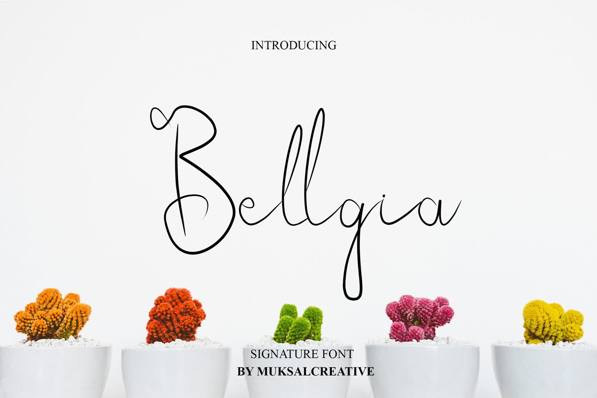 Bellgia example image 1