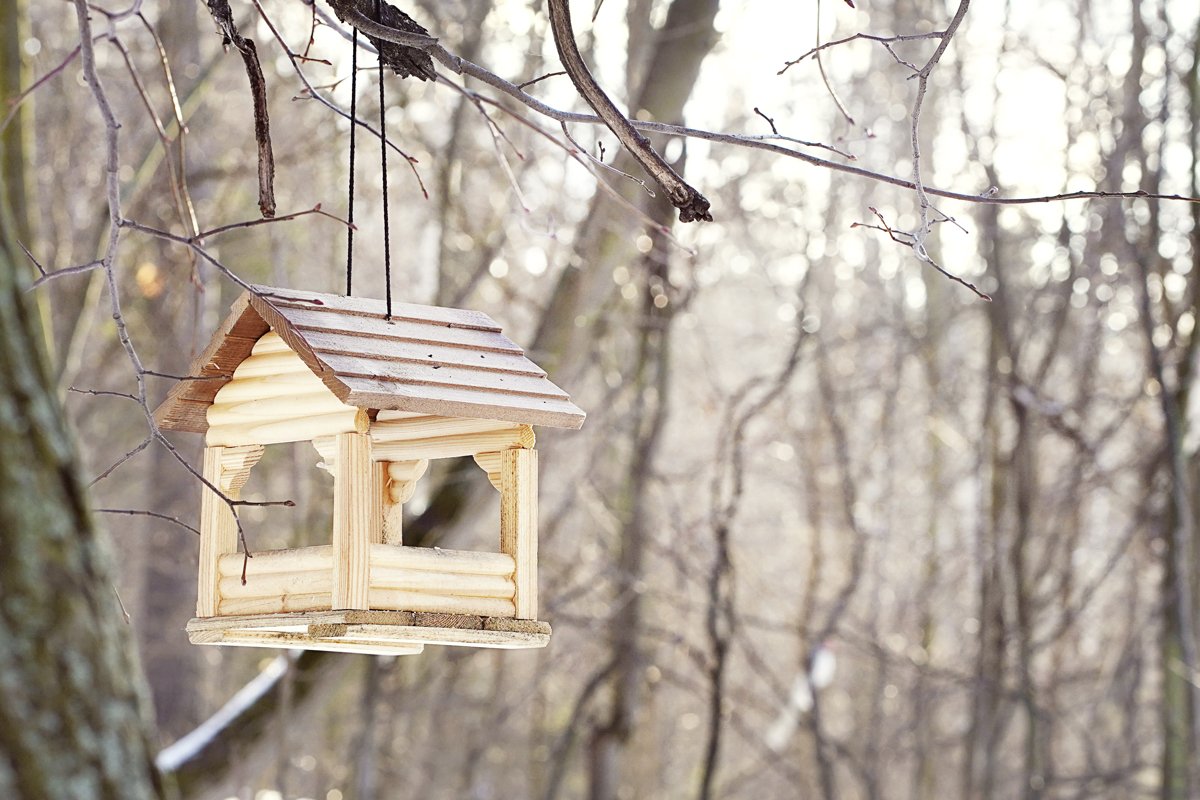 Wooden birdhouse in the forest in early spring. example image 1