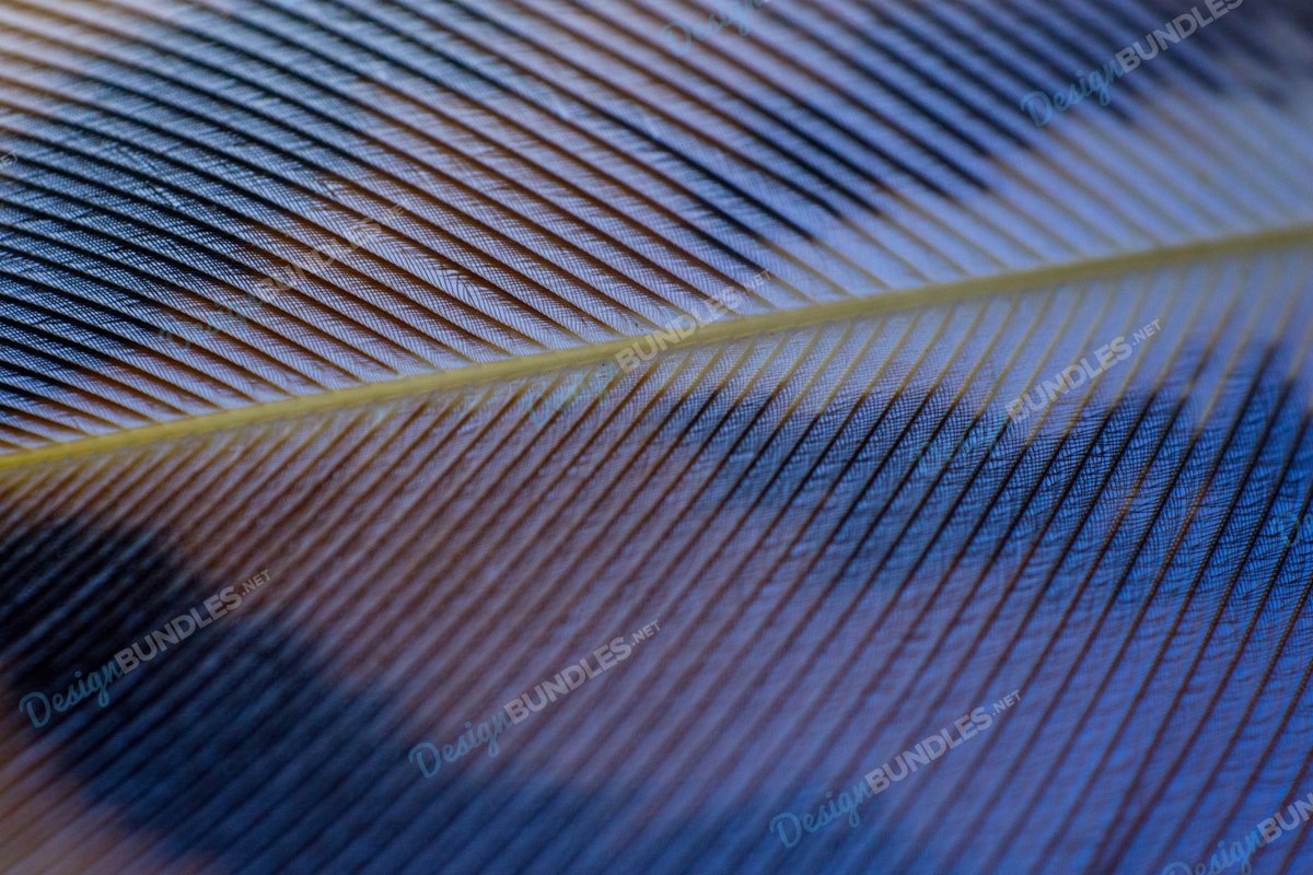 Stock Photo - Colorful of feather example image 1