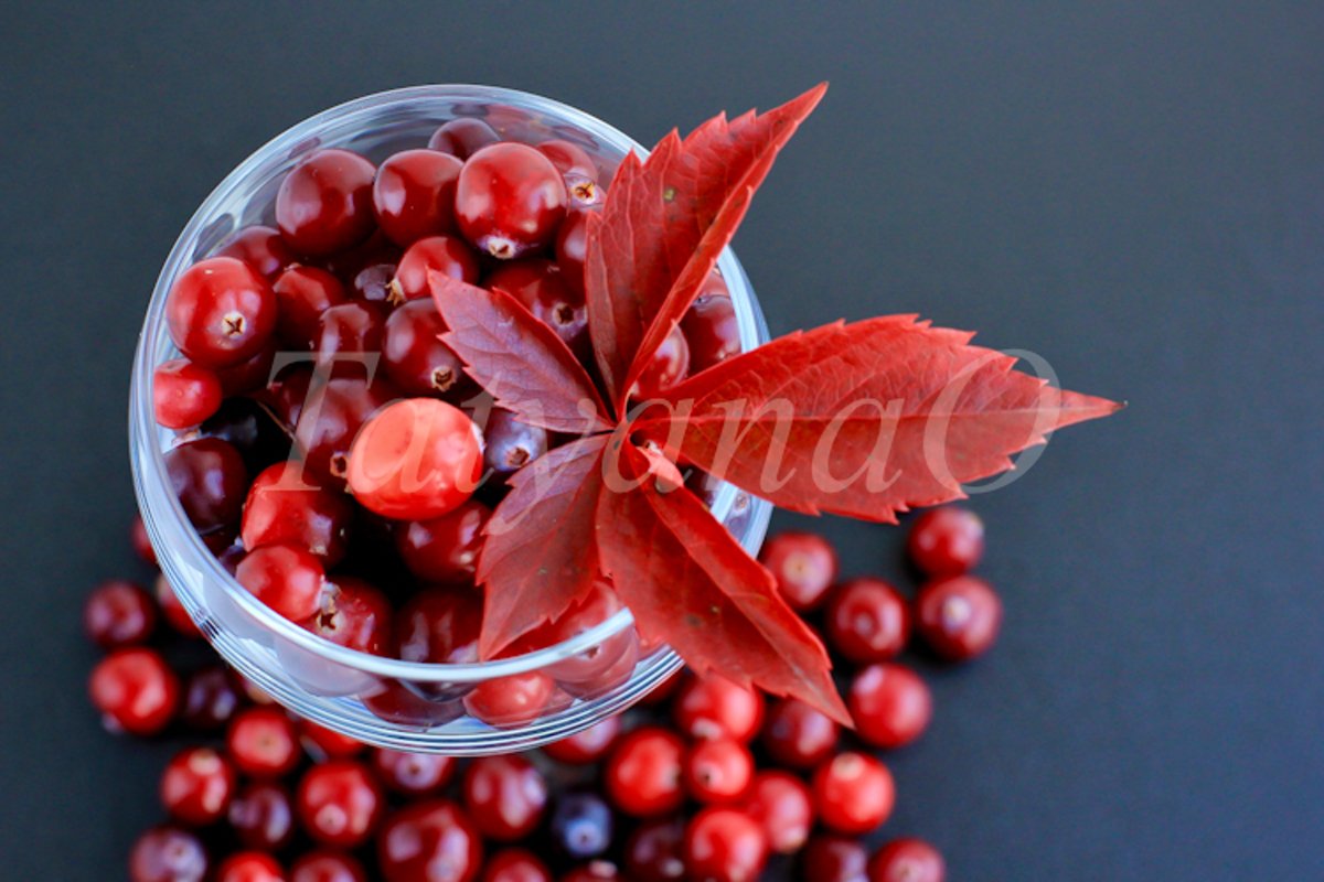 Cranberries background example image 1