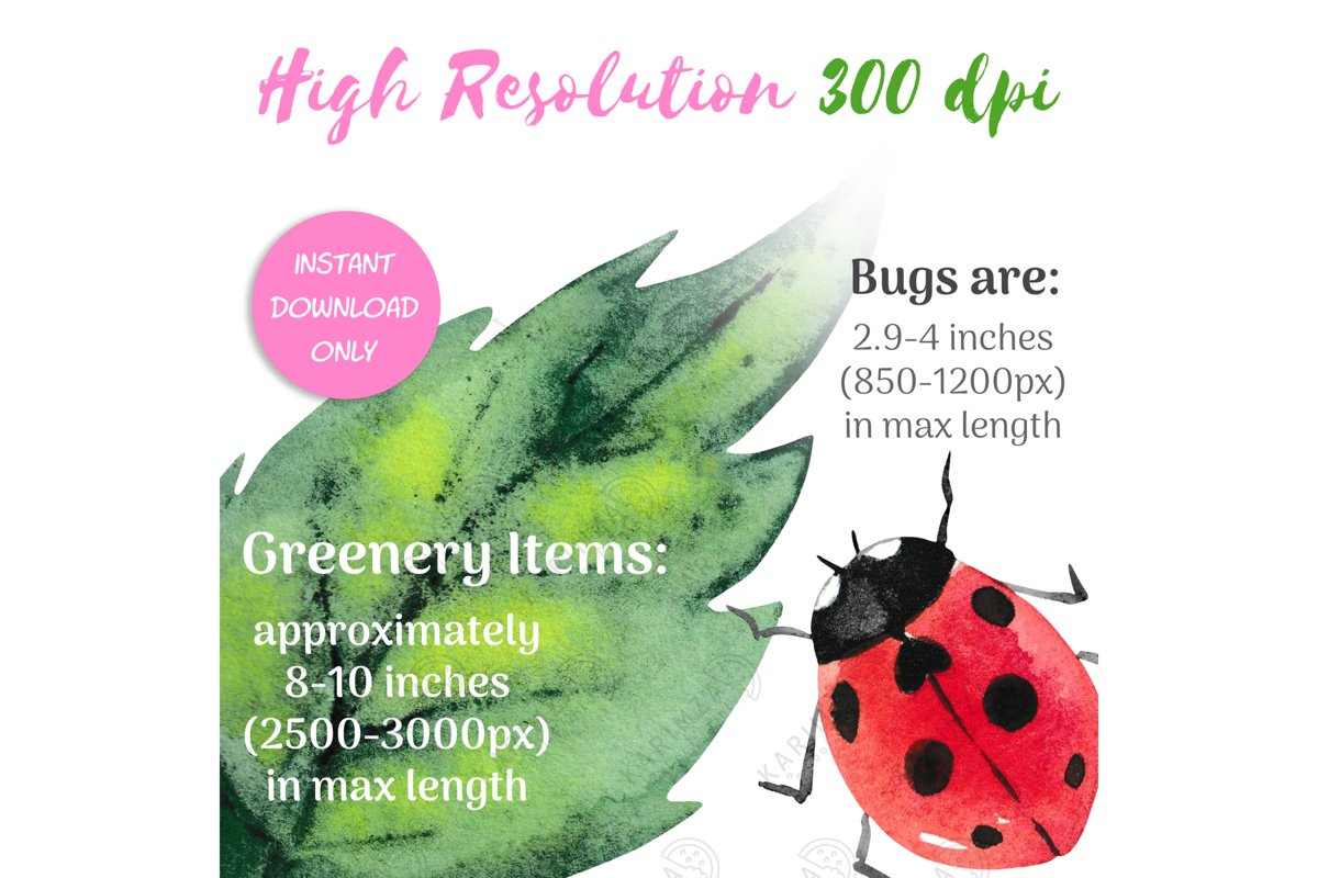 BUG CLIP ART, Watercolor Insects and Greenery Clipart example image 1