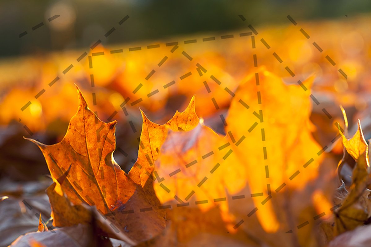 autumn sun shines example image 1
