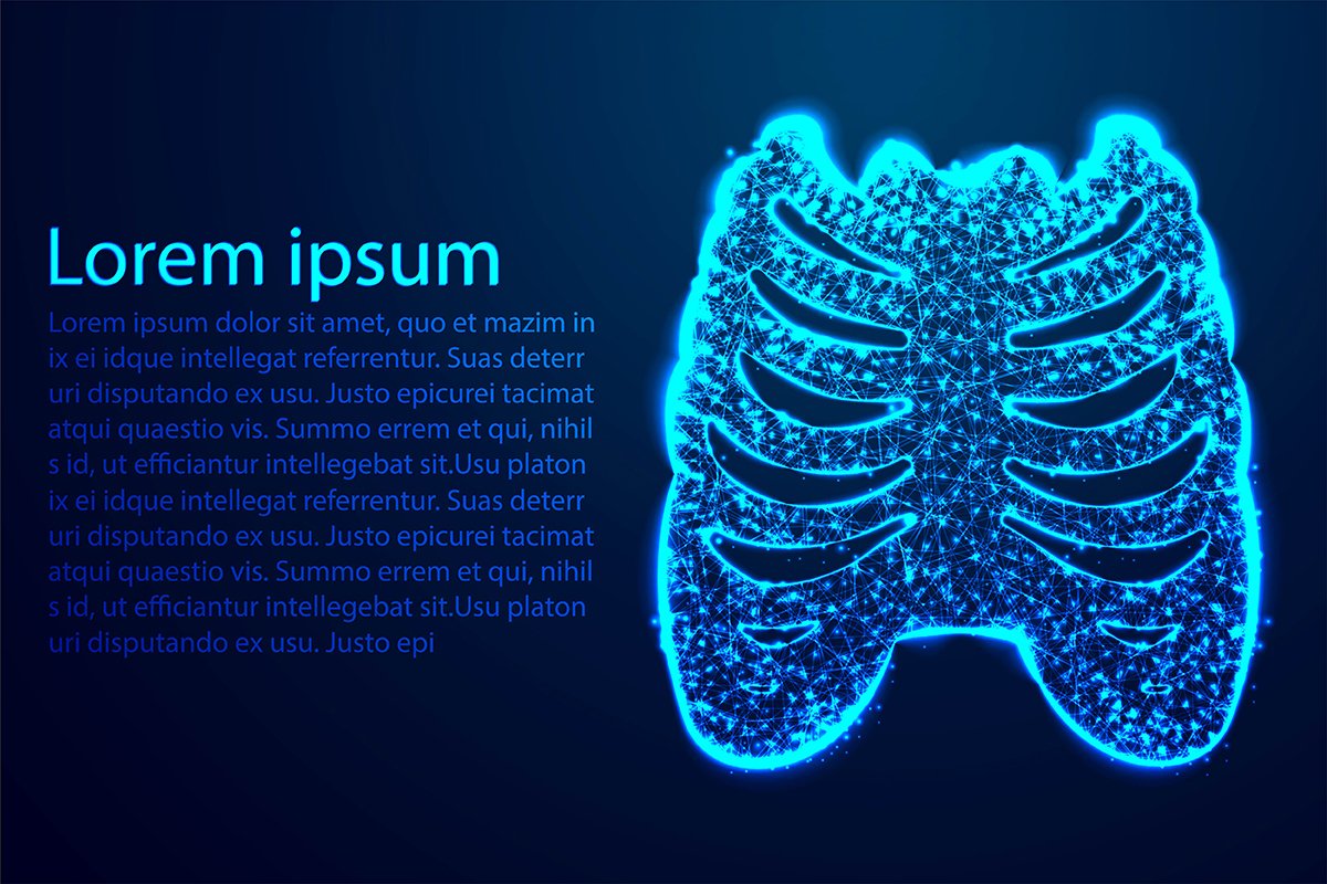 rib cage, Lateral bone, Human Anatomy. Abstract low poly, Tr example image 1
