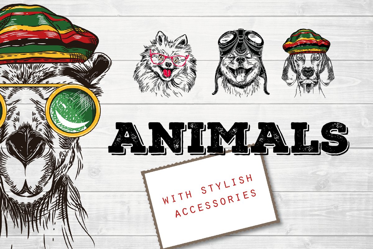 Animals with stylish accessories example image 1