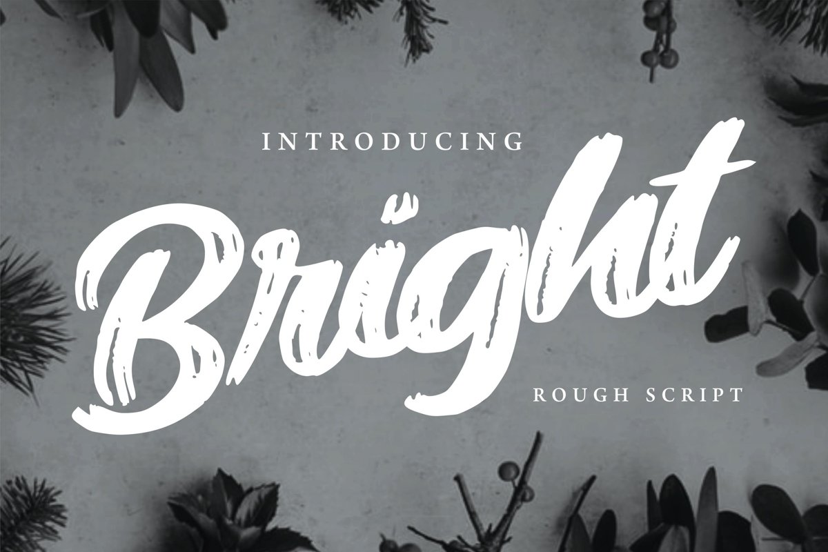 Bright | Modern Rough Script Font example image 1