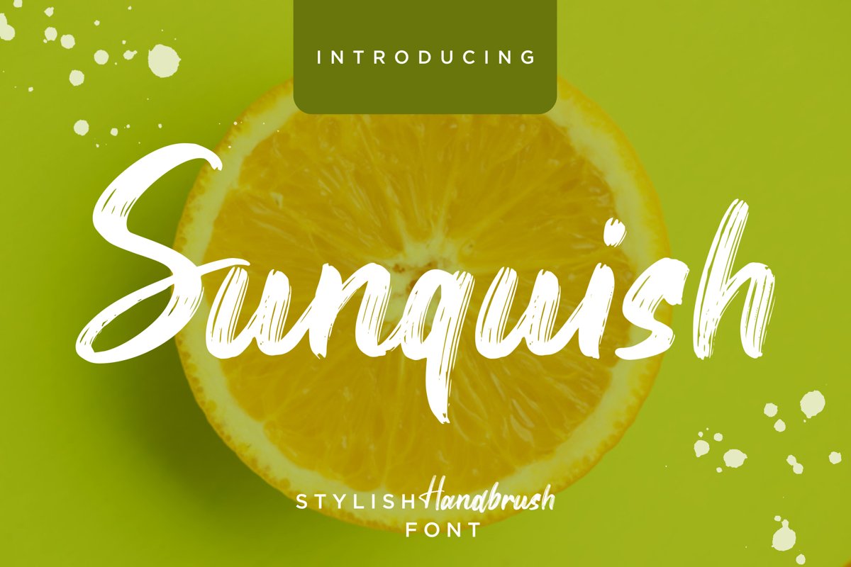 Sunquish Stylish Handbrush example image 1