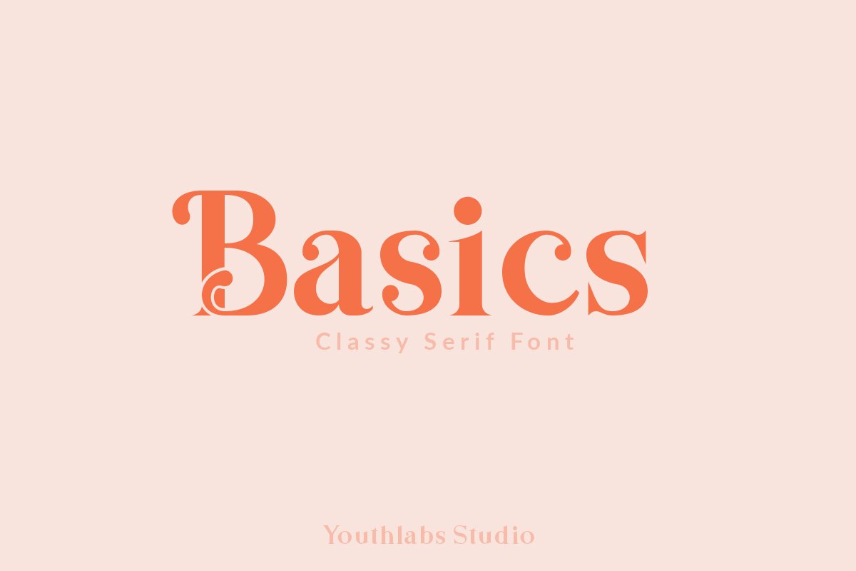 Basics Serif Font example image 1