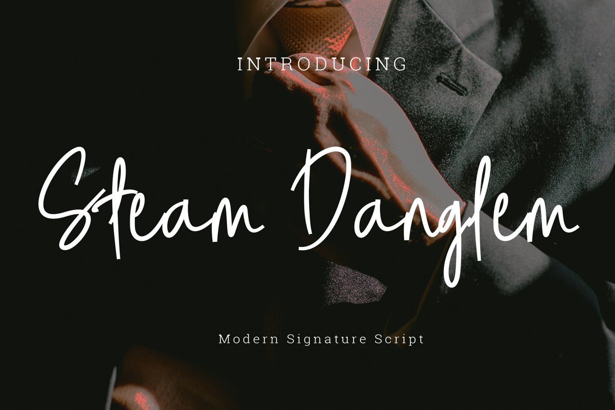 Steam danglem signature Font Script example image 1