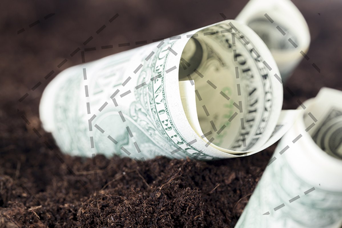 one-dollar cash example image 1