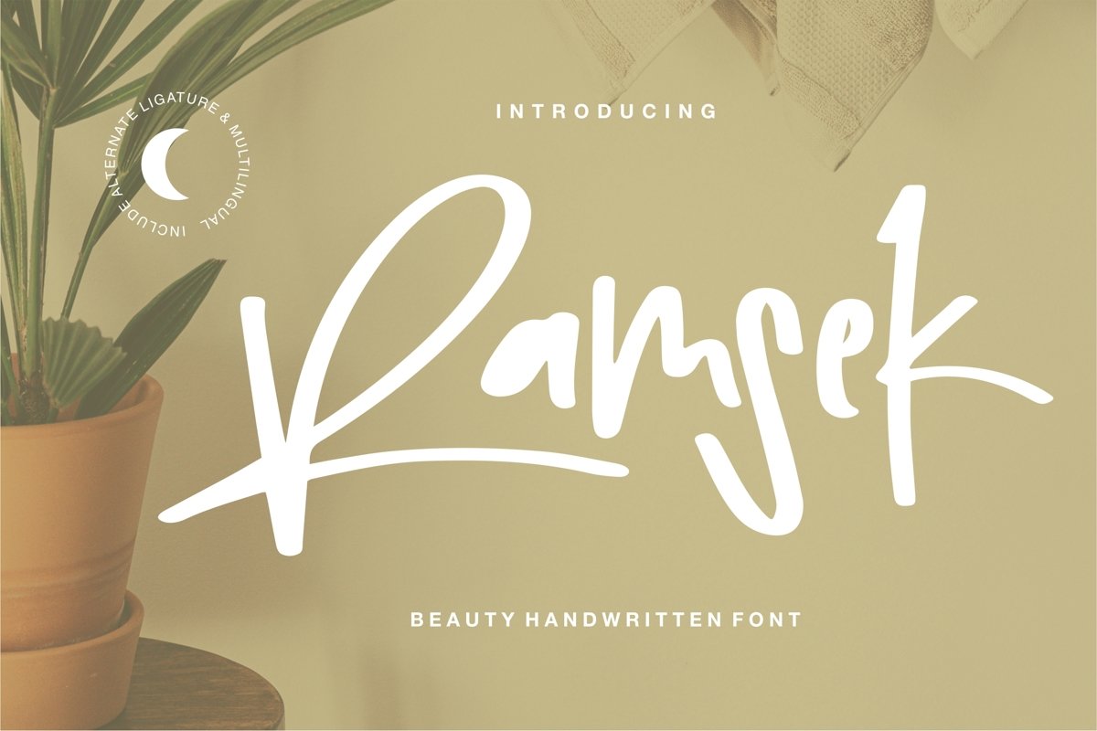Ramsek - Beauty Handwritten Font example image 1