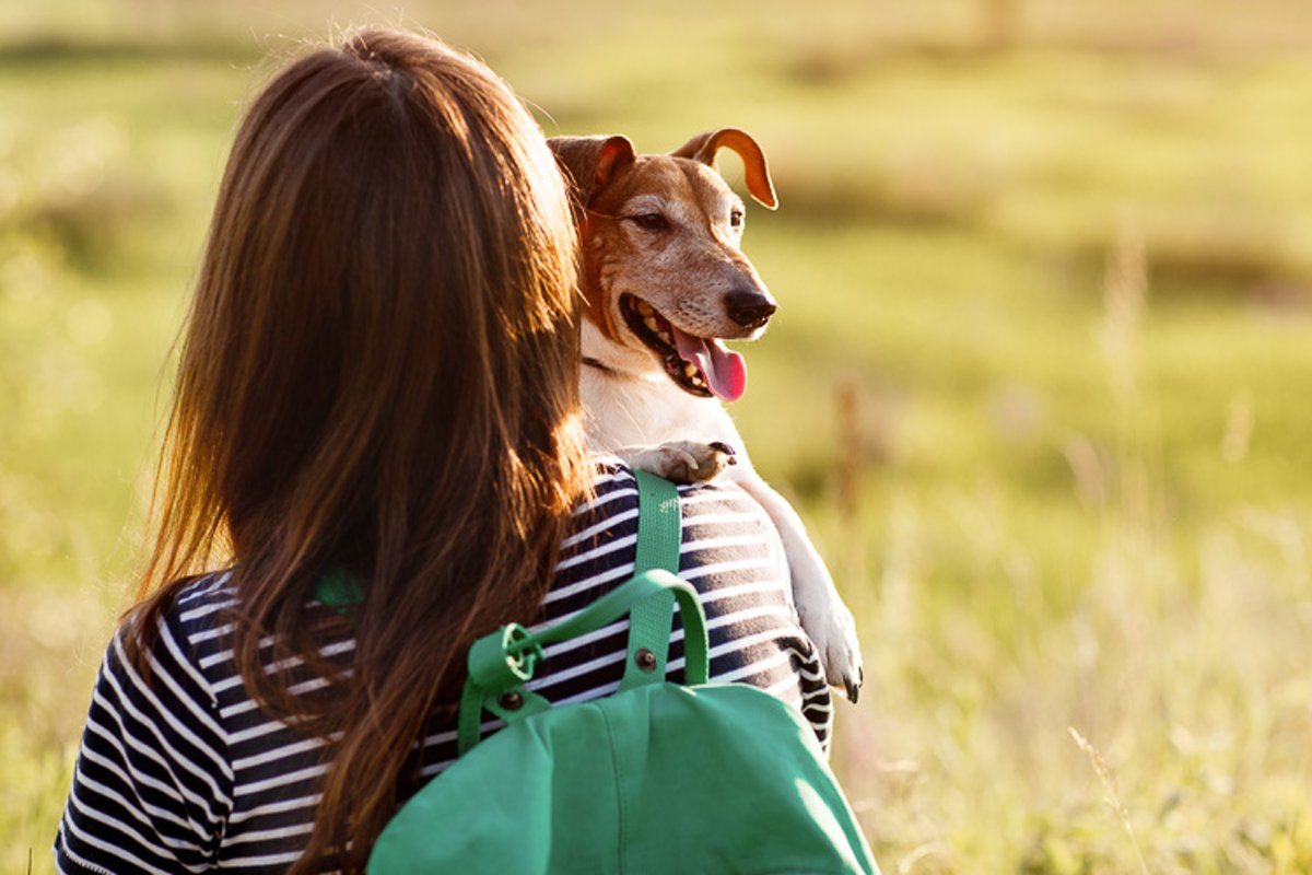 A girl with a green backpack on her back hugs a dog example image 1