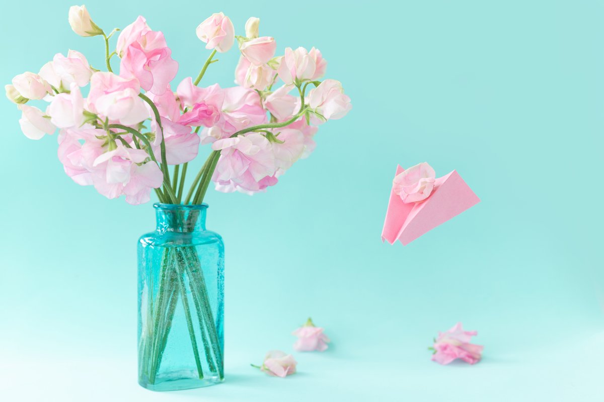Pink sweet peas Lathyrus flowers in blue vase.Paper airplane example image 1