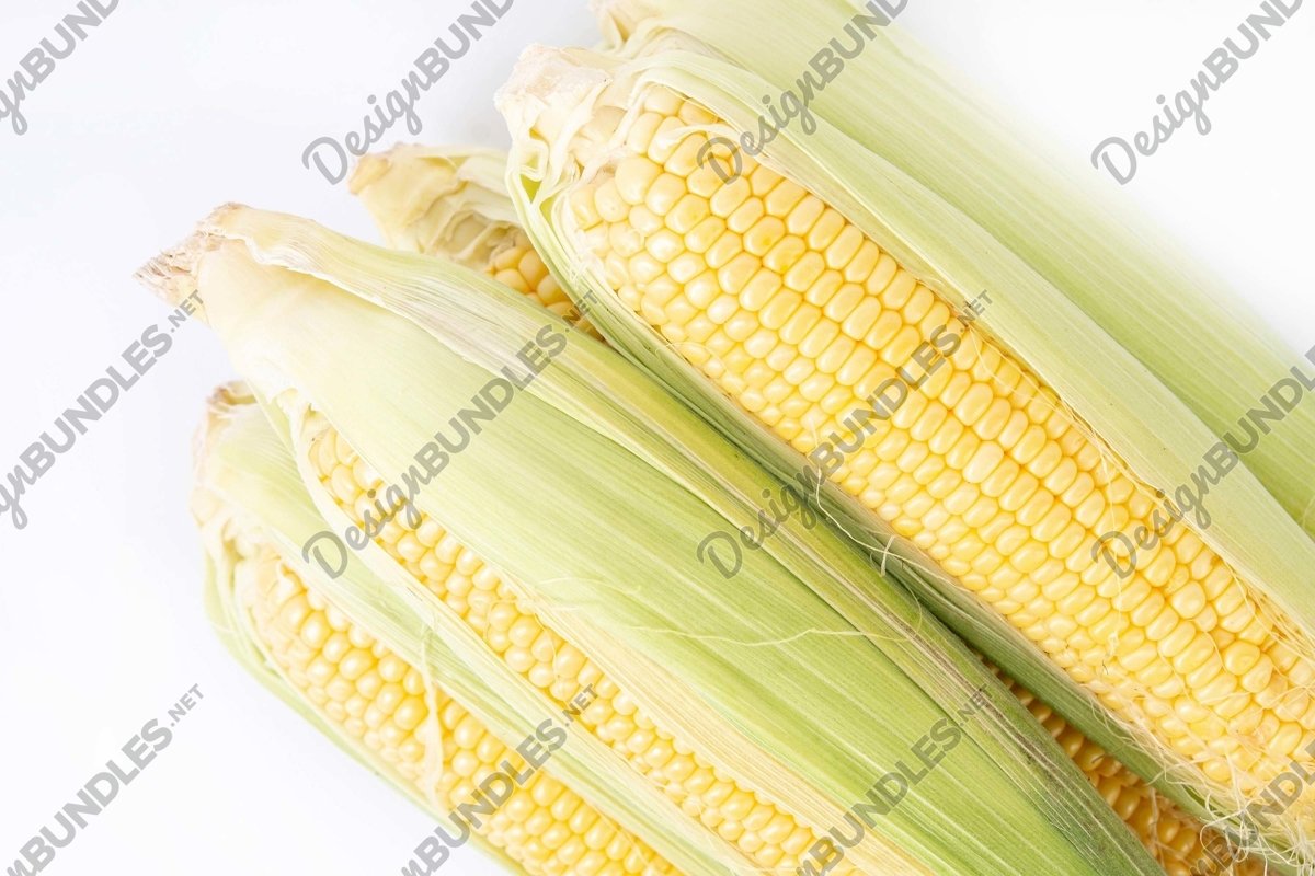 Stock Photo - High Angle View Of Corn example image 1