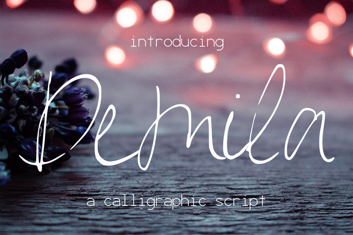 Demila Font example image 1