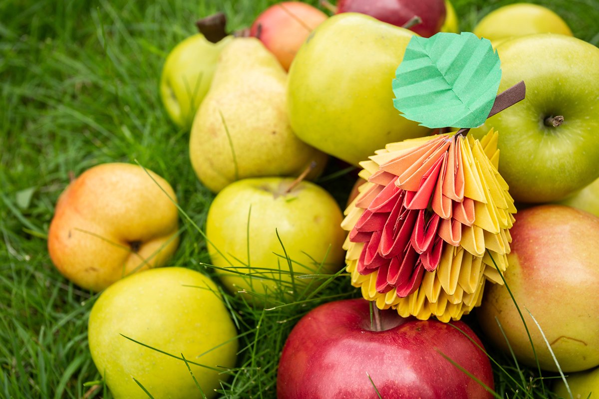 Autumn Apple harvest background wicker basket on green grass example image 1
