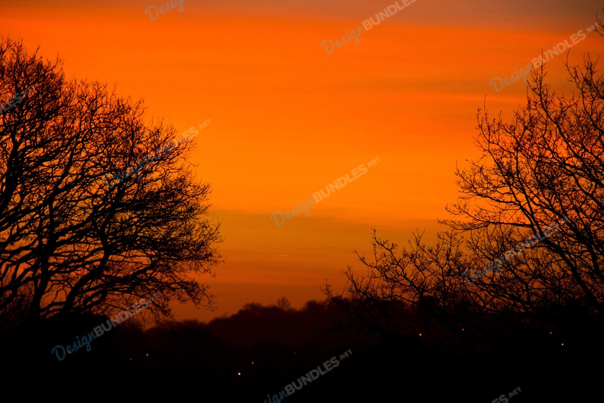 The Sunsets in The Trees example image 1