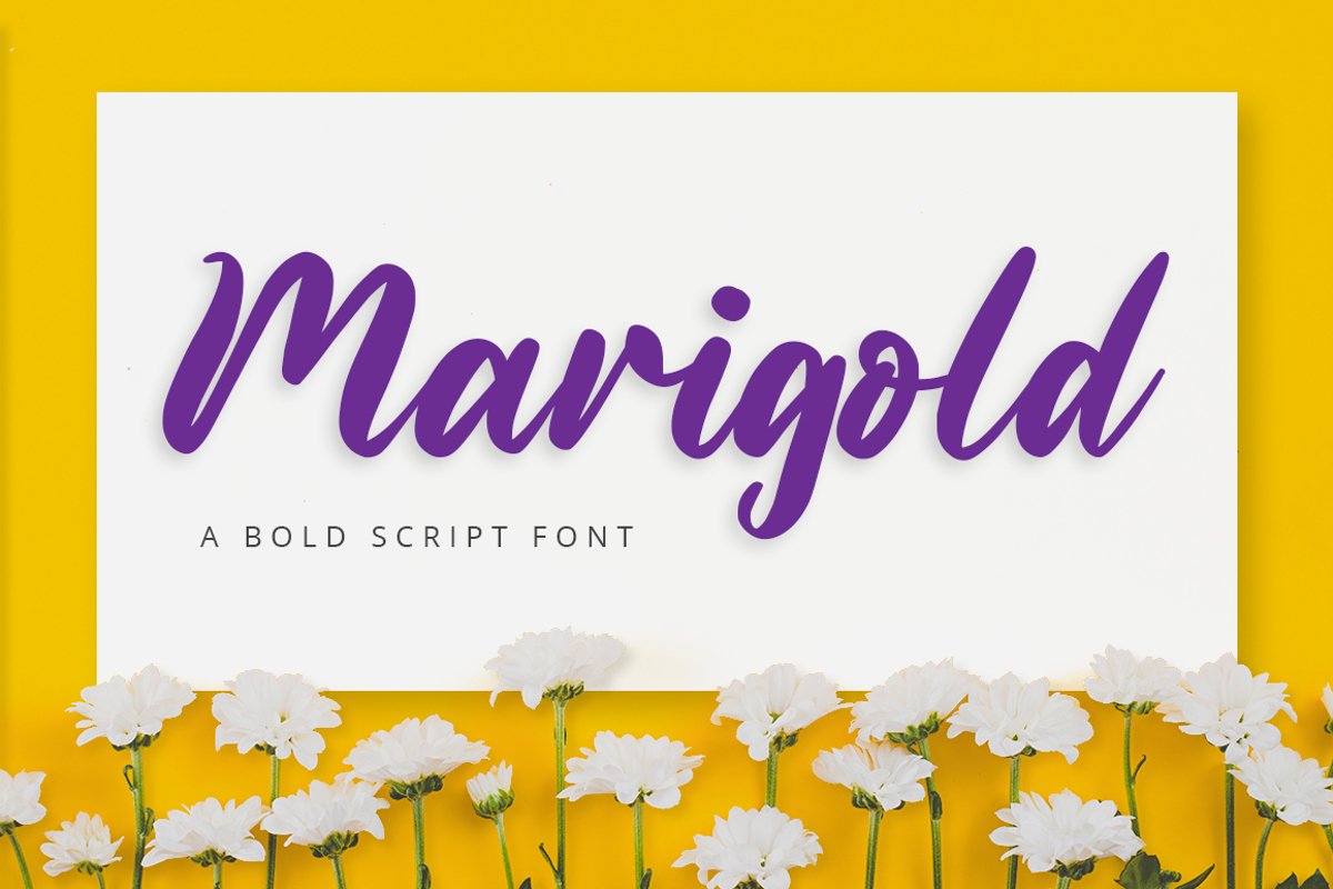 Marigold example image 1