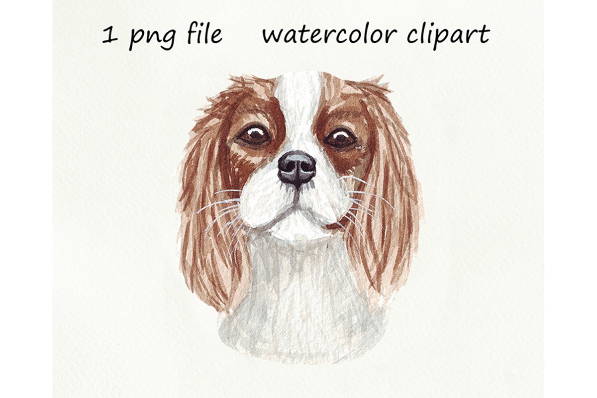 Watercolor dog png, Cavalier King Charles Spaniel, hand d example image 1
