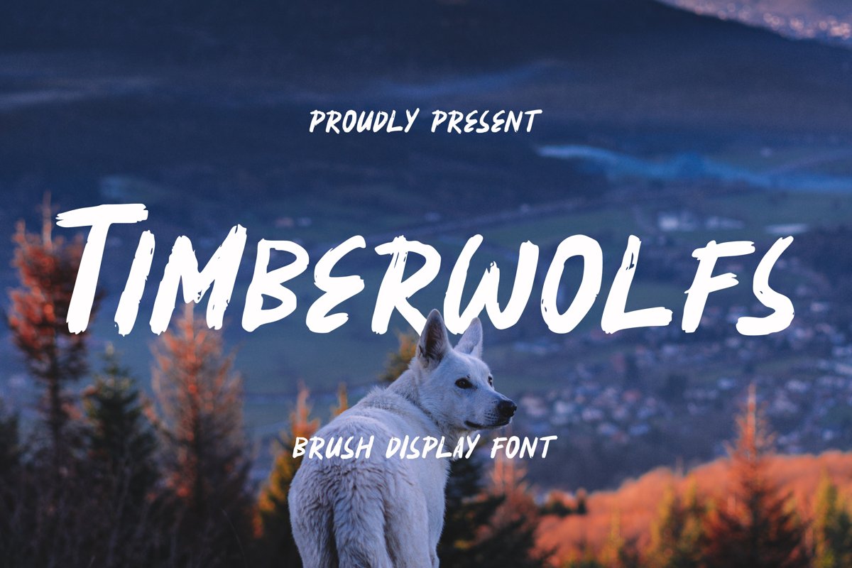 Timberwolfs Font example image 1