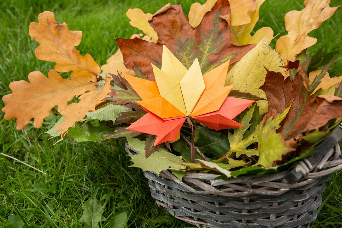Autumn Apple harvest background wicker basket on green grass example image 1