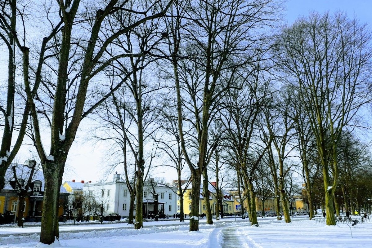 Winter photos Snow in the City Norrköping Sweden example image 1