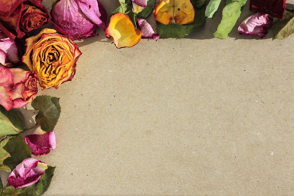 Frame of laid out dry buds of roses, petals, leaves example image 1
